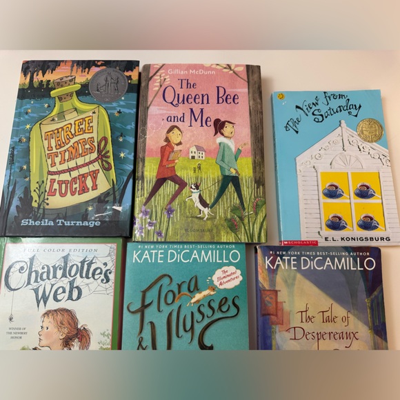 Young reader chapter book bundle - Picture 3 of 9